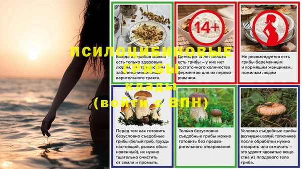 ECSTASY Балахна