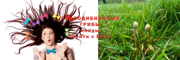 ECSTASY Балахна