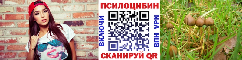 Псилоцибиновые грибы Cubensis  закладка  Городище 