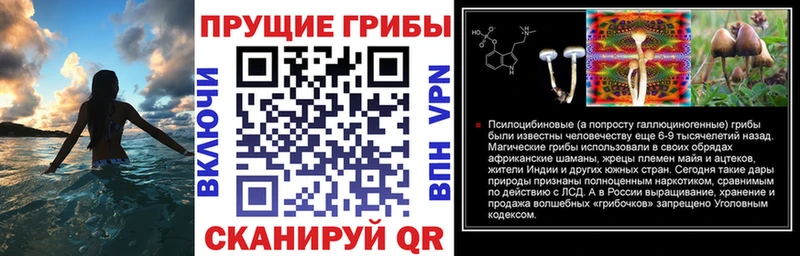 Галлюциногенные грибы прущие грибы Городище